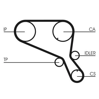 Timing Belt CONTINENTAL CTAM CT952)
