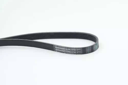 V-ribbed Belt CONTINENTAL CTAM 6PK1710)