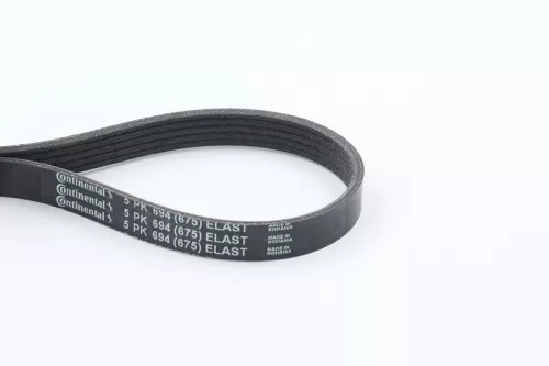 V-ribbed Belt CONTINENTAL CTAM 5PK694 ELAST)
