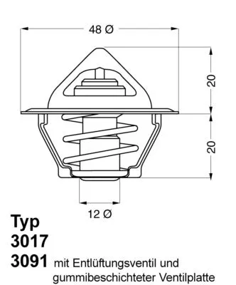 Thermostat, coolant BorgWarner (Wahler) 3017.87D2)