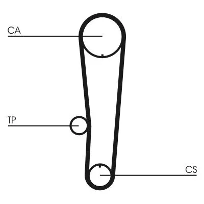 Timing Belt CONTINENTAL CTAM CT1017)