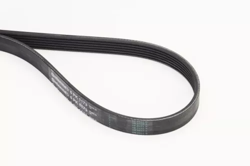 V-ribbed Belt CONTINENTAL CTAM 6PK1173)