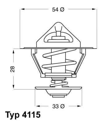 Thermostat, coolant BorgWarner (Wahler) 4115.92D)