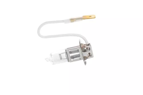 Bulb, front fog light BOSCH 1 987 302 431)