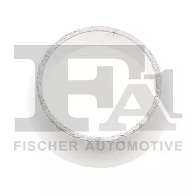Seal Ring, exhaust pipe FA1 121-946)