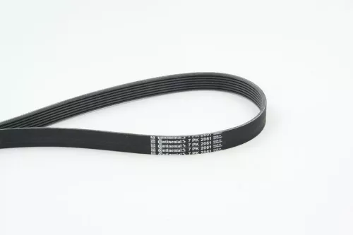 V-ribbed Belt CONTINENTAL CTAM 7PK2061)