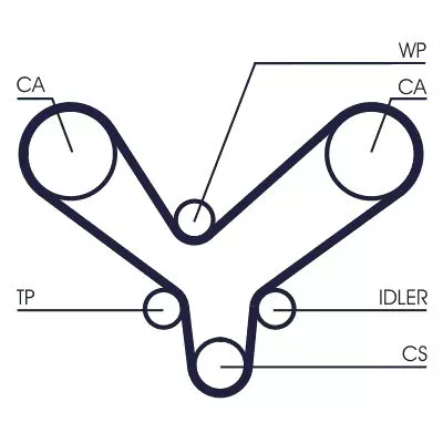 Timing Belt CONTINENTAL CTAM CT1175)