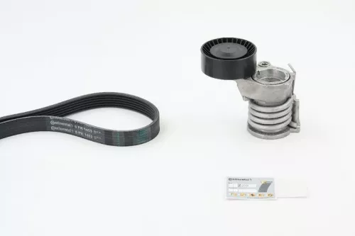 V-ribbed Belt Set CONTINENTAL CTAM 6PK1453K2)