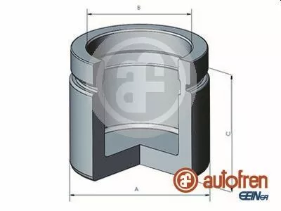 Piston, brake caliper AUTOFREN SEINSA D025487)