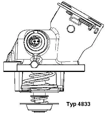 Thermostat, coolant BorgWarner (Wahler) 4833.100D)