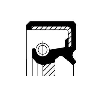 Shaft Seal, differential CORTECO 19034913B)
