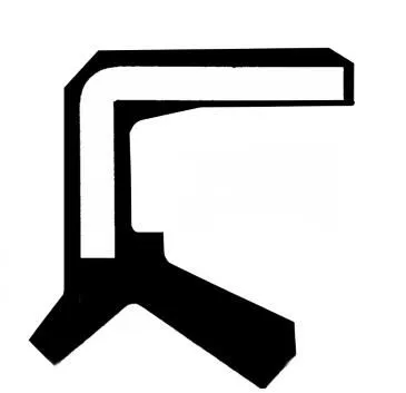 Shaft Seal, differential CORTECO 19035259B)
