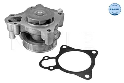 Water Pump, engine cooling MEYLE 11-13 220 0024)