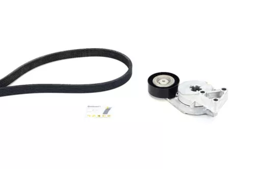 V-ribbed Belt Set CONTINENTAL CTAM 6DPK1195K1)