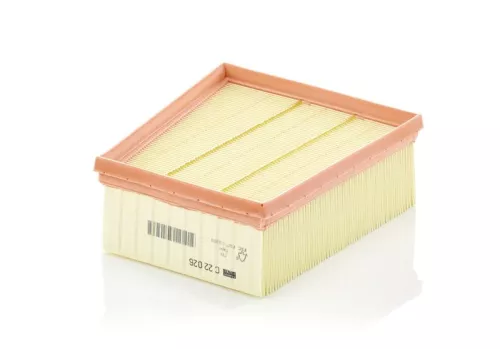 Air Filter MANN-FILTER C 22 026)