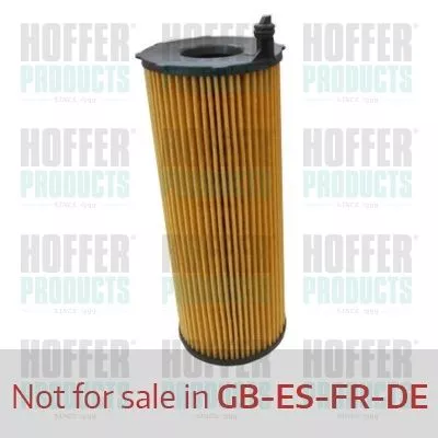 Oil Filter HANS WG1746658)