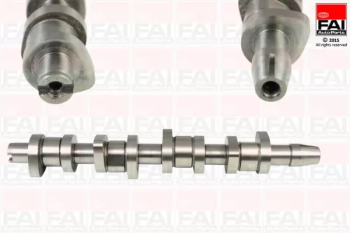Camshaft FAI AutoParts C248C)