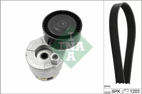 V-ribbed Belt Set Schaeffler INA 529 0009 10)