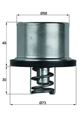 Thermostat, coolant MAHLE TX 37 79)
