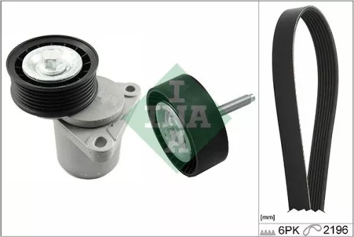 V-ribbed Belt Set Schaeffler INA 529 0219 10)