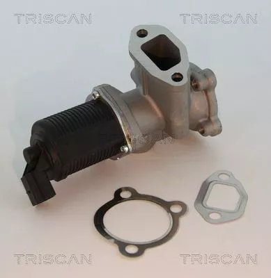 EGR Valve TRISCAN 8813 10003)
