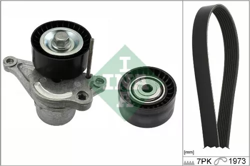 V-ribbed Belt Set Schaeffler INA 529 0317 10)