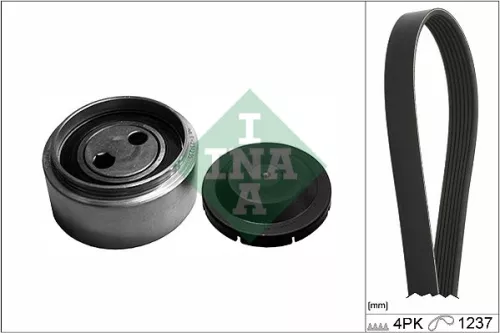 V-ribbed Belt Set Schaeffler INA 529 0087 10)