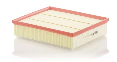 Air Filter MANN-FILTER C 29 036)