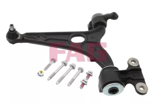 Control/Trailing Arm, wheel suspension Schaeffler FAG 821 0050 10)