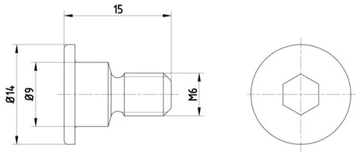Bolt, brake disc TEXTAR TPM0001)