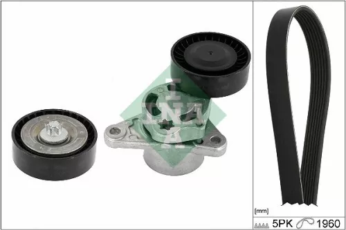 V-ribbed Belt Set Schaeffler INA 529 0487 10)