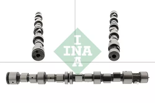 Camshaft Schaeffler INA 428 0096 10)