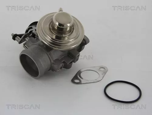 EGR Valve TRISCAN 8813 29001)