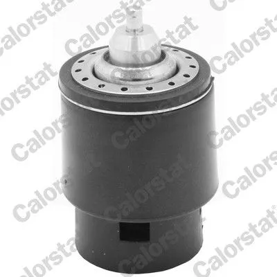 Thermostat, coolant CALORSTAT by Vernet TH7266.105)