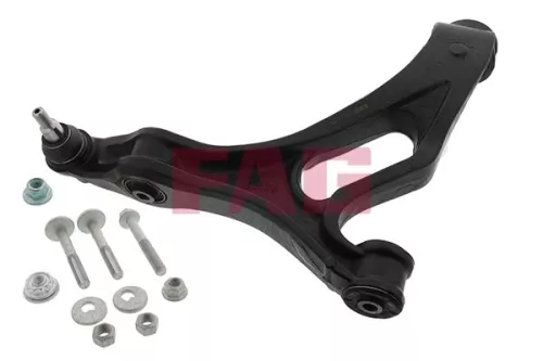 Control/Trailing Arm, wheel suspension Schaeffler FAG 821 0668 10)