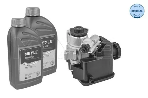 Hydraulic Pump, steering MEYLE 034 631 0006/S)