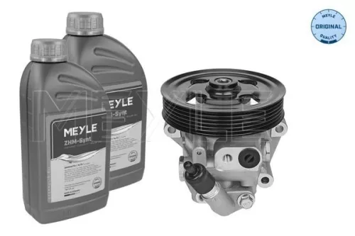 Hydraulic Pump, steering MEYLE 714 631 0029/S)
