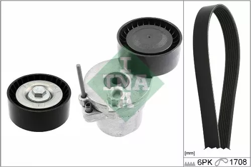 V-ribbed Belt Set Schaeffler INA 529 0362 10)