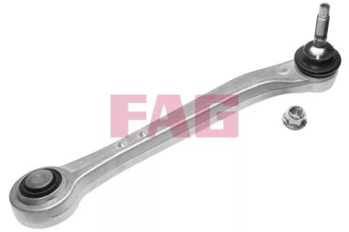 Control/Trailing Arm, wheel suspension Schaeffler FAG 821 0776 10)