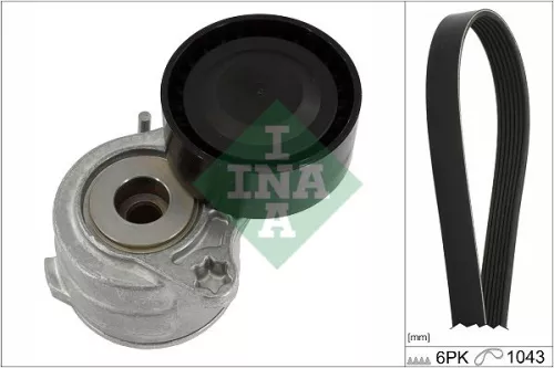 V-ribbed Belt Set Schaeffler INA 529 0419 10)