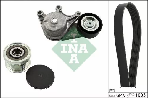 V-ribbed Belt Set Schaeffler INA 529 0483 20)