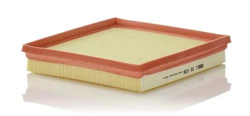 Air Filter MANN-FILTER C 22 038)