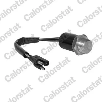 Temperature Switch, radiator fan CALORSTAT by Vernet TS1956)
