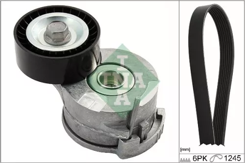 V-ribbed Belt Set Schaeffler INA 529 0291 10)