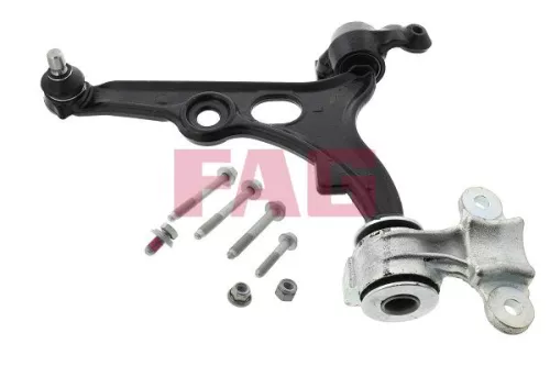 Control/Trailing Arm, wheel suspension Schaeffler FAG 821 0424 10)