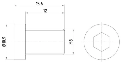Bolt, brake disc TEXTAR TPM0009)