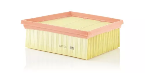 Air Filter MANN-FILTER C 22 031)