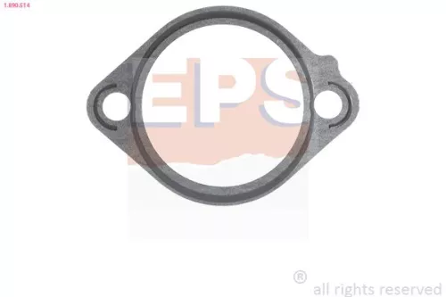 Seal, thermostat EPS 1.890.514)