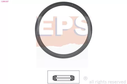 Seal, thermostat EPS 1.890.567)