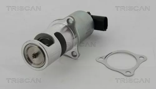 EGR Valve TRISCAN 8813 24037)